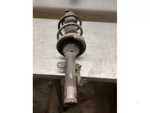 Schokdemperpoot rechts-voor-7442220