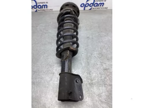 Schokdemperpoot rechts-voor-8084698