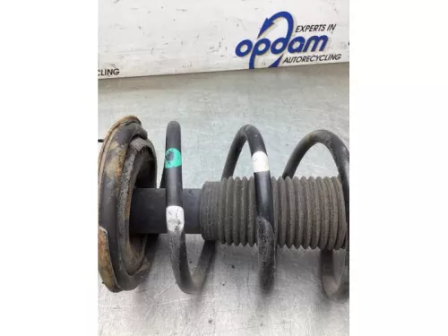 Schokdemperpoot rechts-voor-8070966