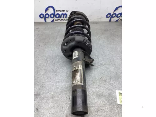 Schokdemperpoot rechts-voor-8230416