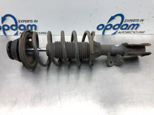 Schokdemperpoot rechts-voor-6592484