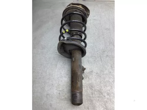 Schokdemperpoot rechts-voor-8076248