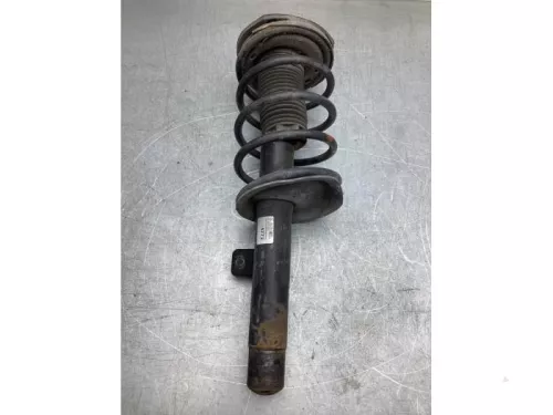 Schokdemperpoot rechts-voor-8133778