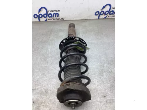 Schokdemperpoot rechts-voor-8258546