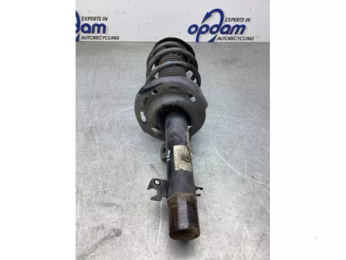 Schokdemperpoot rechts-voor-8137457