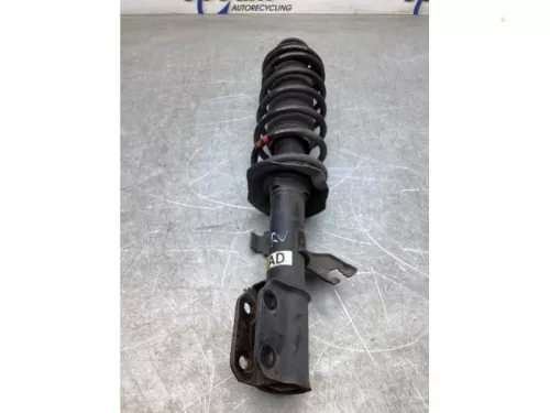 Schokdemperpoot rechts-voor-6616250