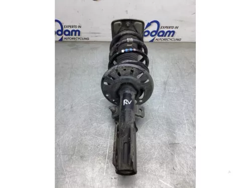 Schokdemperpoot rechts-voor-8115877