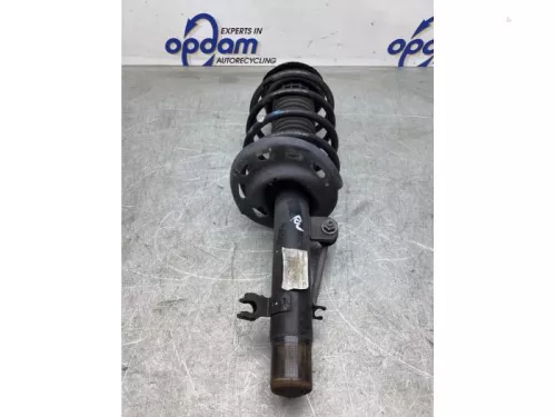 Schokdemperpoot rechts-voor-7936817