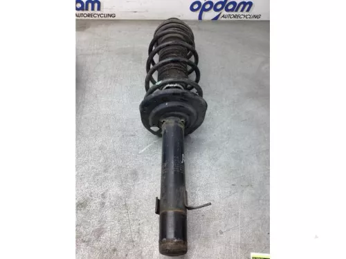 Schokdemperpoot rechts-voor-8073479