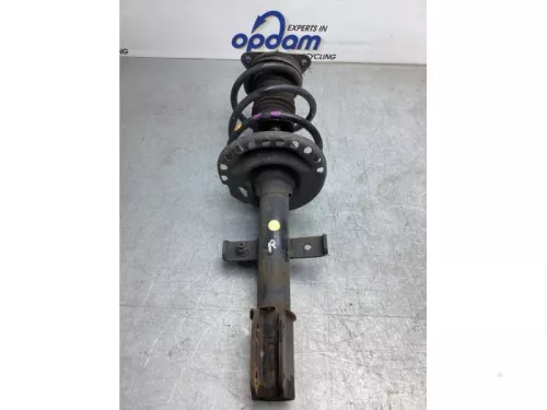 Schokdemperpoot rechts-voor-8096015