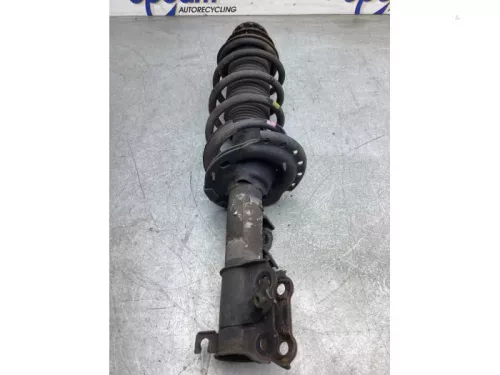 Schokdemperpoot rechts-voor-8128959