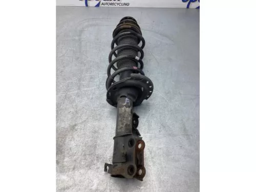 Schokdemperpoot rechts-voor-7987943