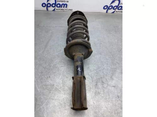 Schokdemperpoot rechts-voor-7991380