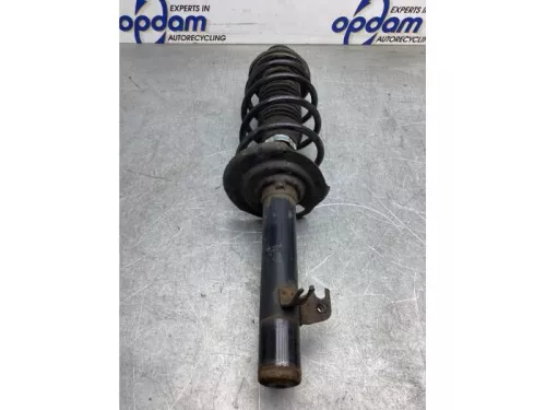 Schokdemperpoot rechts-voor-8069993