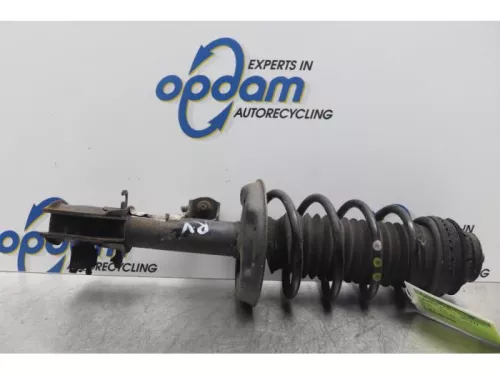 Schokdemperpoot rechts-voor-7608855
