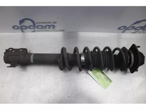 Schokdemperpoot rechts-voor-7877696