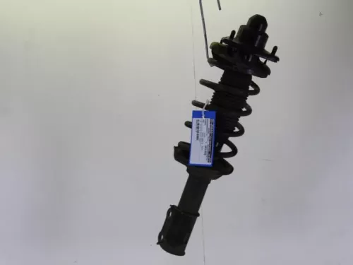 Schokdemperpoot rechts-voor-7884894