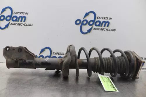 Schokdemperpoot rechts-voor-7877091