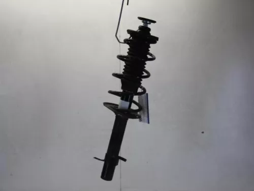 Schokdemperpoot rechts-voor-7881693