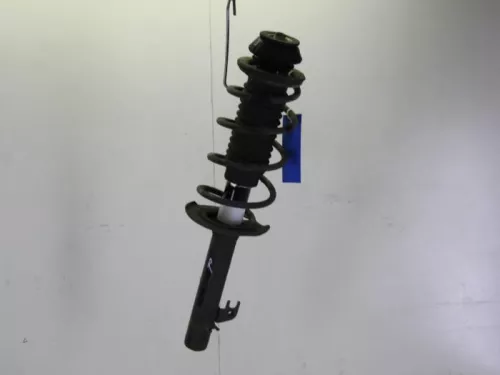 Schokdemperpoot rechts-voor-7884745