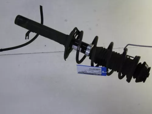 Schokdemperpoot rechts-voor-7882929