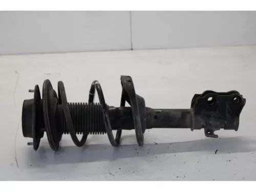 Schokdemperpoot rechts-voor-7620493