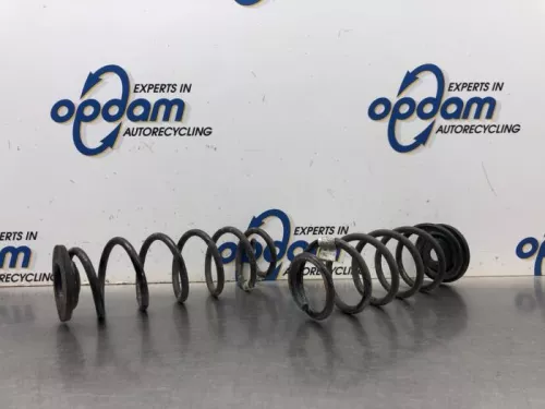 Schroefveer achter-8158117