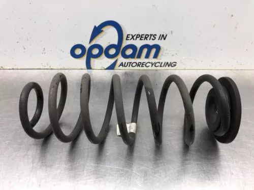 Schroefveer achter-8091819