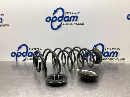 Schroefveer achter-7613982