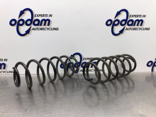 Schroefveer achter-8075626