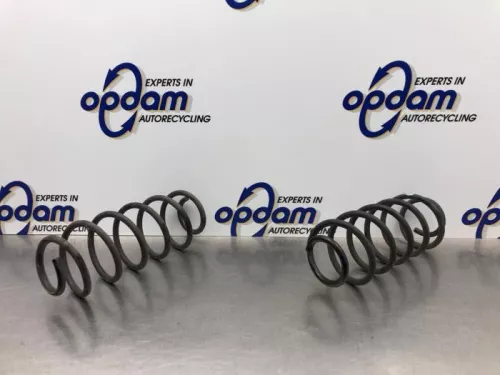 Schroefveer achter-8139102