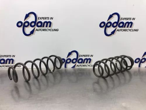 Schroefveer achter-8172399