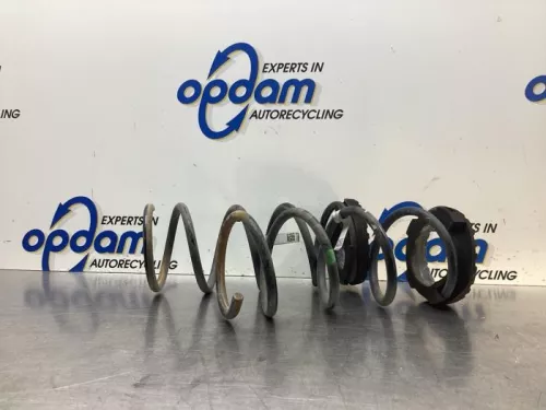 Schroefveer achter-7933777