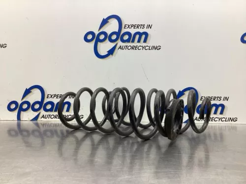 Schroefveer achter-8046884