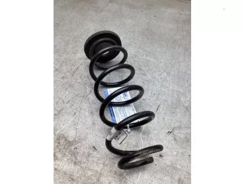 Schroefveer achter-8278712