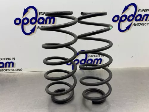 Schroefveer achter-8110797