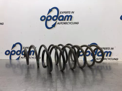 Schroefveer achter-8031645