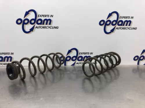 Schroefveer achter-8141509