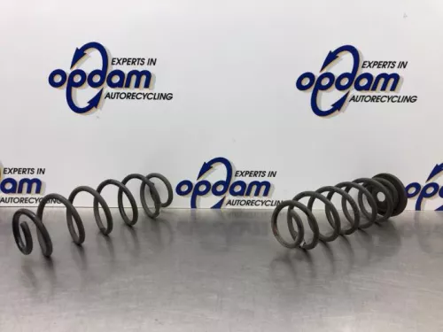 Schroefveer achter-8250005