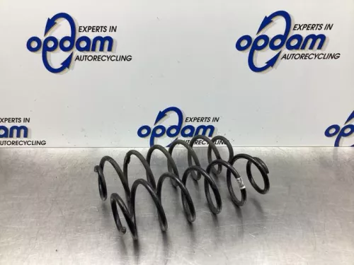 Schroefveer achter-6495926