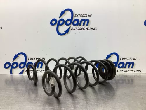 Schroefveer achter-8039747