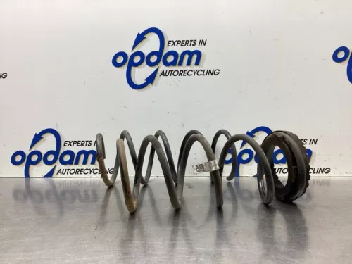 Schroefveer achter-8049779