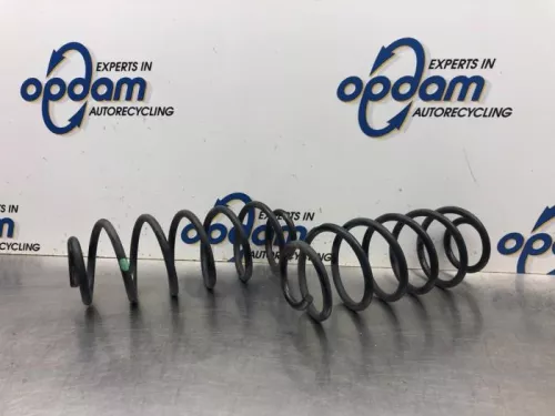 Schroefveer achter-8064679