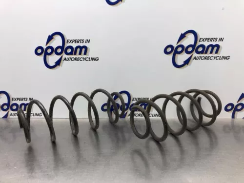 Schroefveer achter-8170929