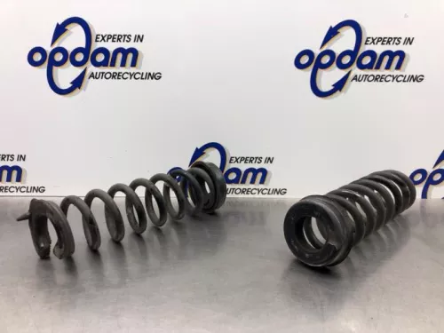 Schroefveer achter-8169282