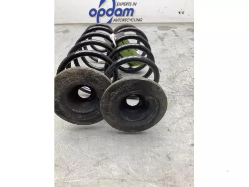 Schroefveer achter-8252642