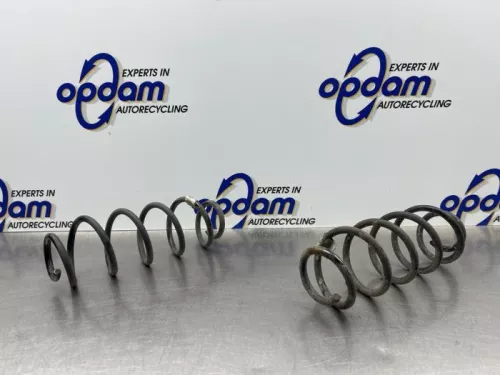 Schroefveer achter-8231804