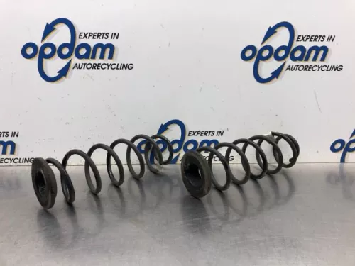 Schroefveer achter-8099164