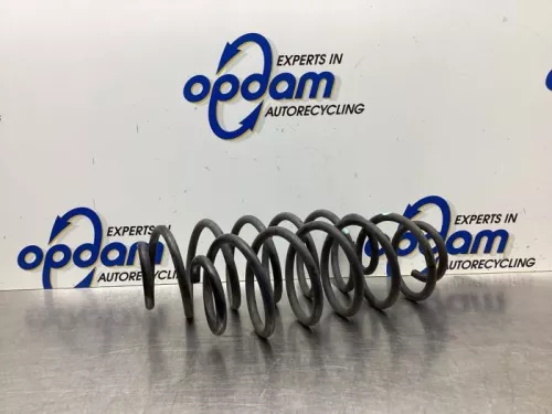 Schroefveer achter-7923166