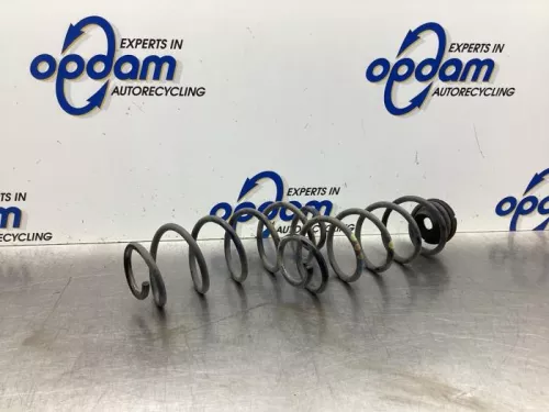 Schroefveer achter-7871218